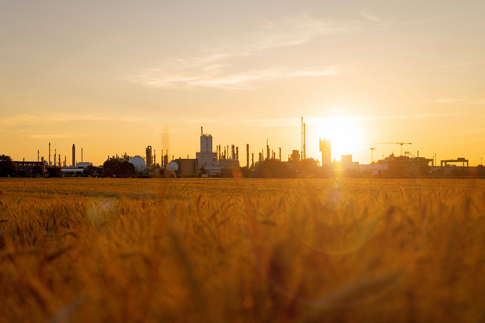Industrial plant on a riverbank at golden sunset with backlight.